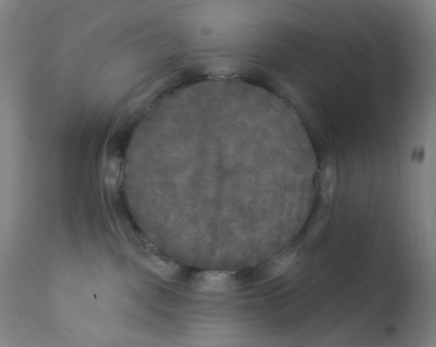 X0000112200093200909041327