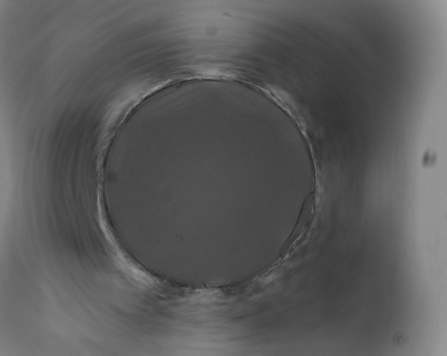 X0000112200097200909041326