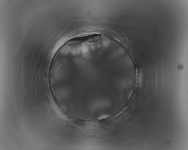 X0000112200099200909041326