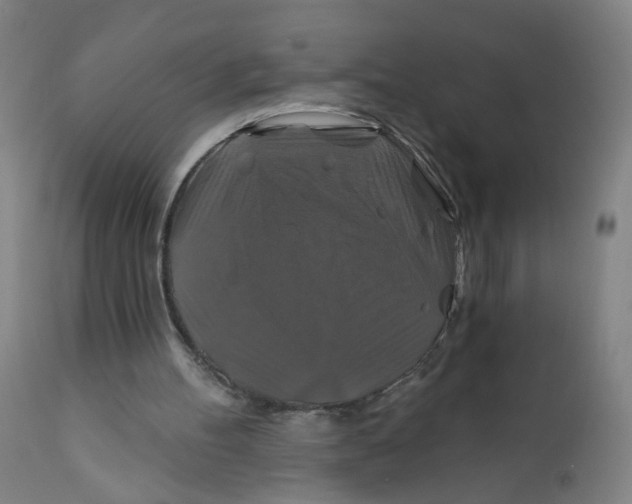 X0000112200100200909041326