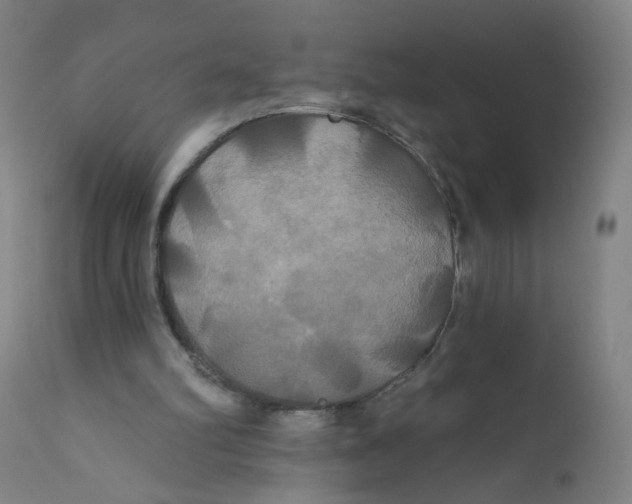 X0000112200102200909041326
