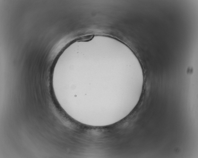 X0000112200103200909041326