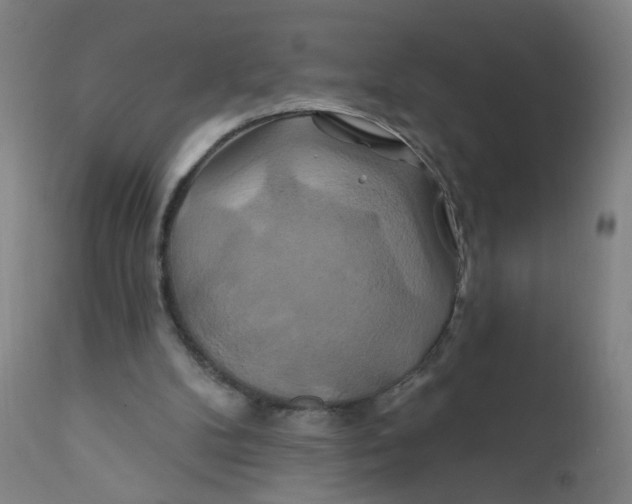 X0000112200104200909041326