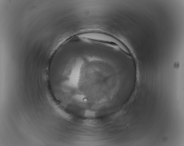 X0000112200105200909041326
