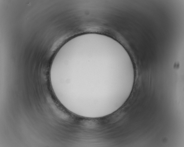 X0000112200106200909041326