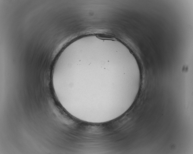 X0000112200107200909041326