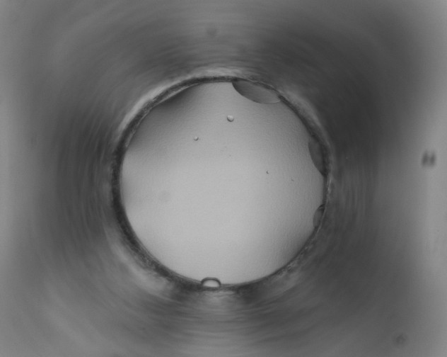 X0000112200108200909041326