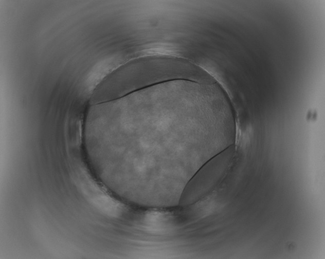 X0000112200109200909041326