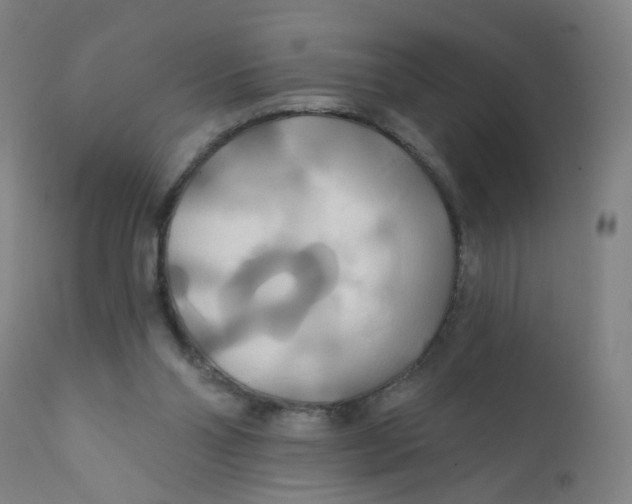 X0000112200110200909041326
