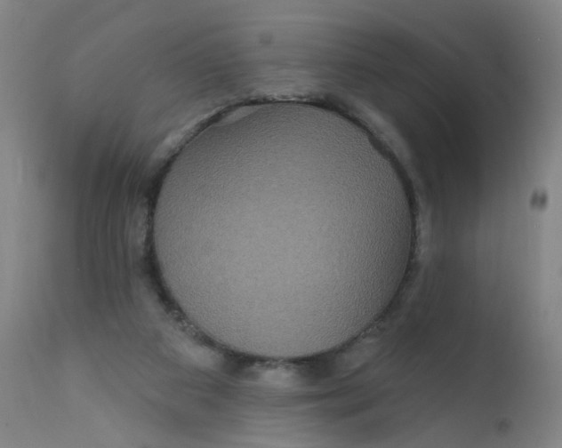 X0000112200113200909041326