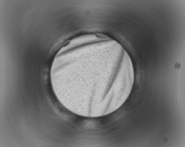 X0000112200115200909041326
