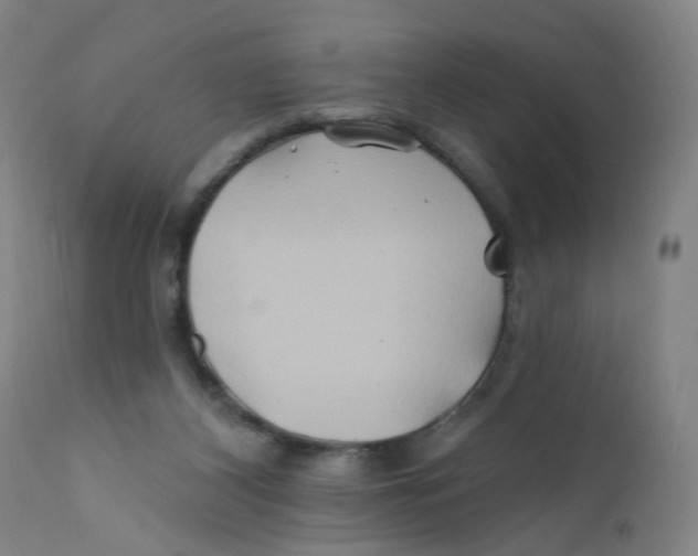 X0000112200116200909041326
