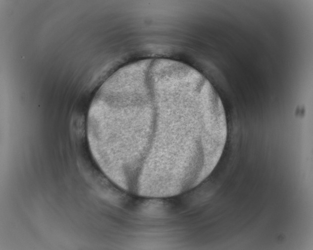 X0000112200123200909041326
