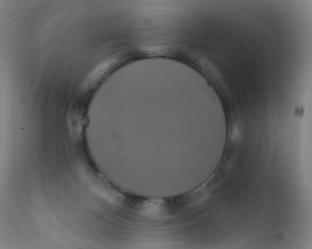 X0000112200124200909041326
