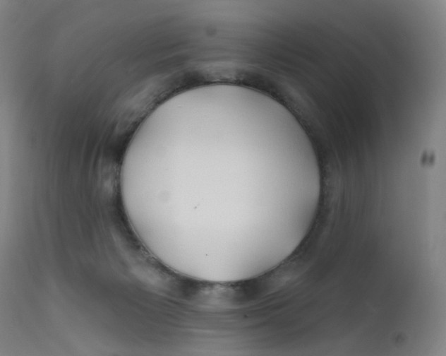 X0000112200125200909041326