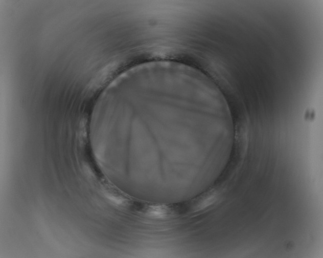 X0000112200127200909041326