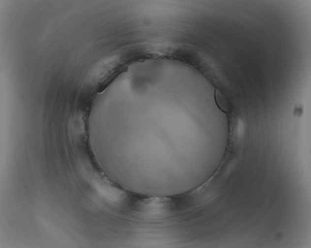 X0000112200128200909041326