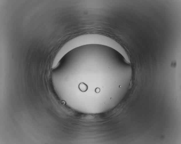X0000112200129200909041326