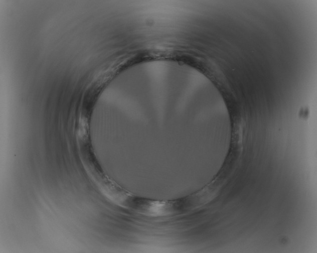 X0000112200130200909041326
