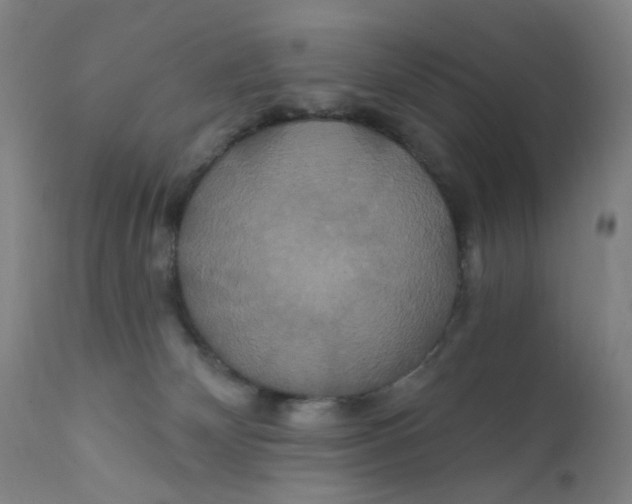X0000112200132200909041326