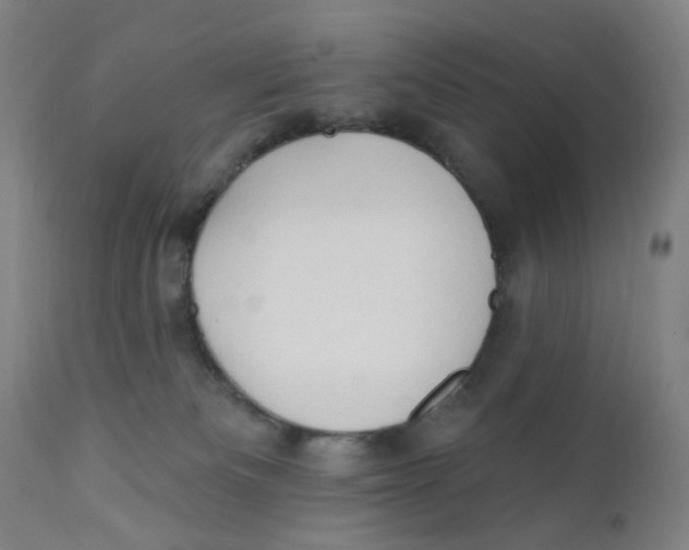 X0000112200133200909041326