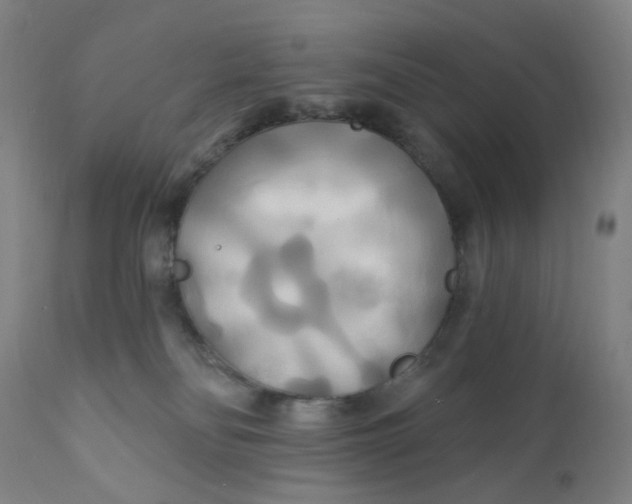 X0000112200134200909041326