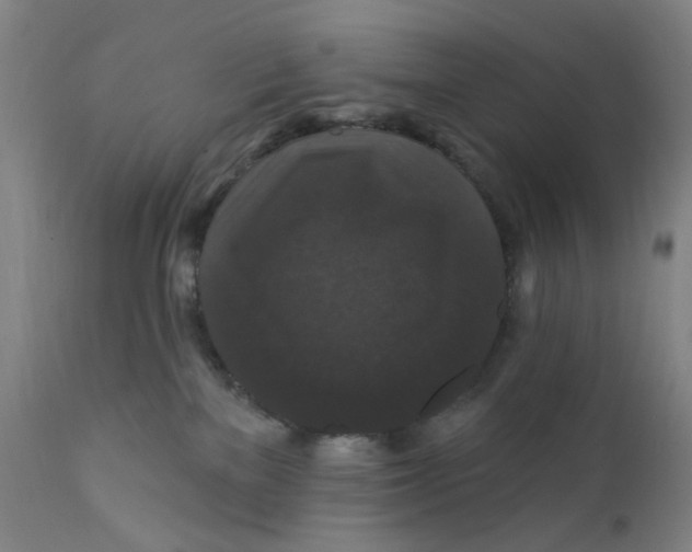 X0000112200137200909041326