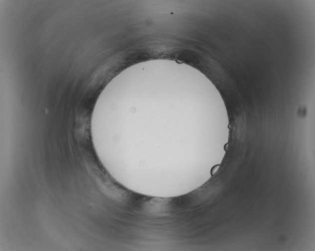 X0000112200138200909041326