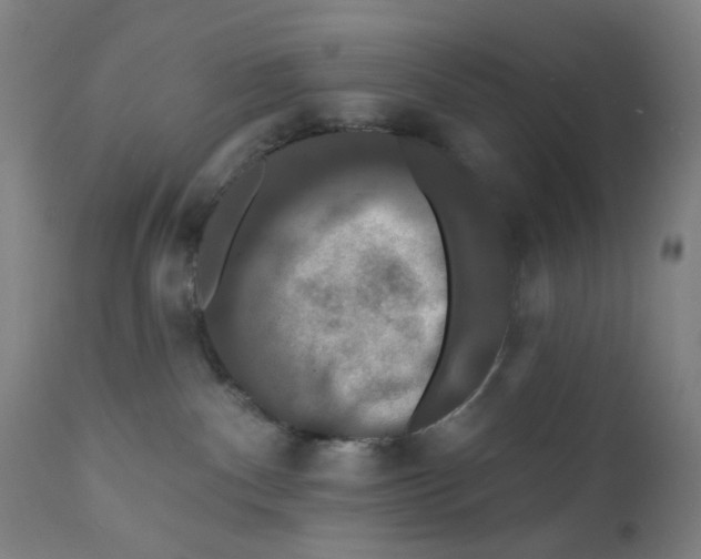 X0000112200140200909041326
