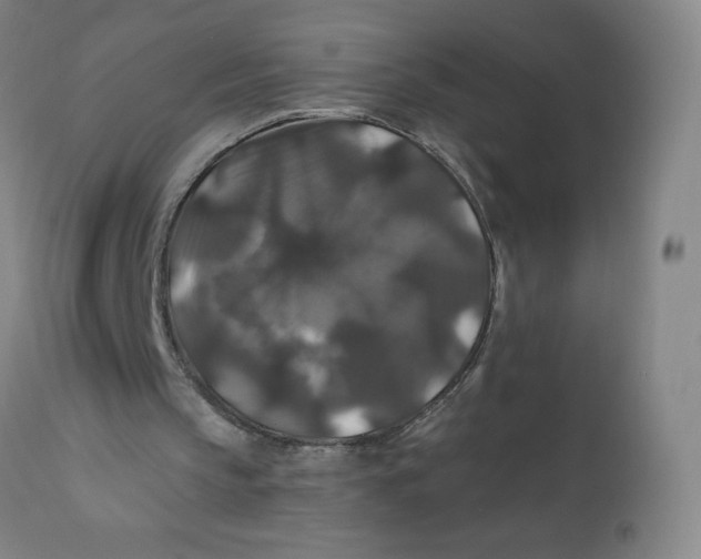 X0000112200145200909041325