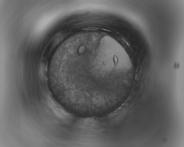 X0000112200146200909041325