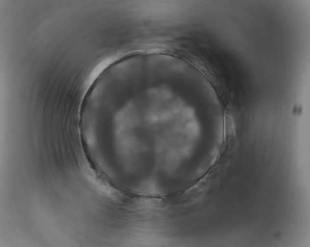 X0000112200147200909041325