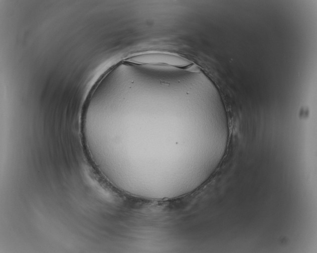 X0000112200148200909041325
