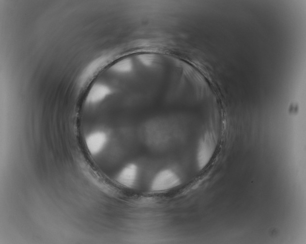 X0000112200149200909041325