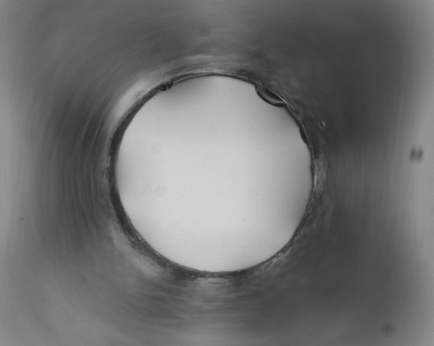 X0000112200150200909041325