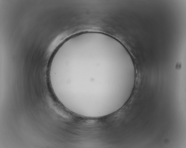 X0000112200151200909041325