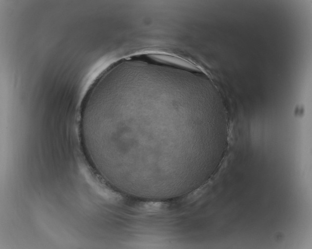 X0000112200152200909041325