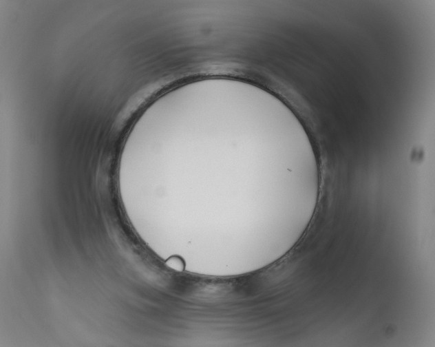 X0000112200155200909041325