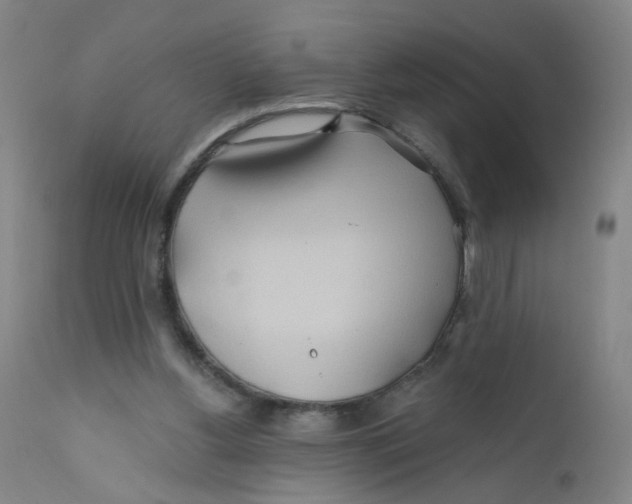 X0000112200156200909041325