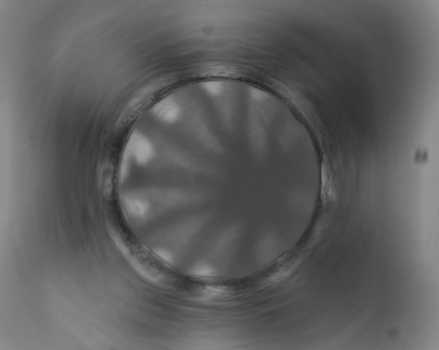 X0000112200157200909041325