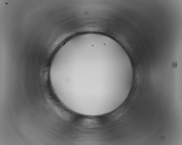 X0000112200160200909041325