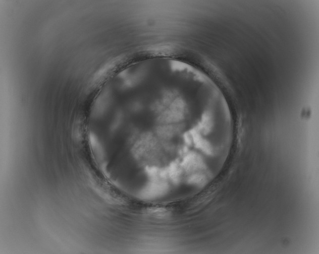 X0000112200161200909041325
