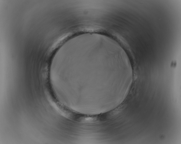 X0000112200163200909041325