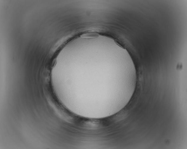 X0000112200164200909041325