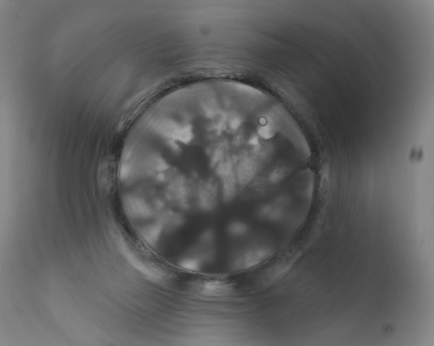 X0000112200165200909041325