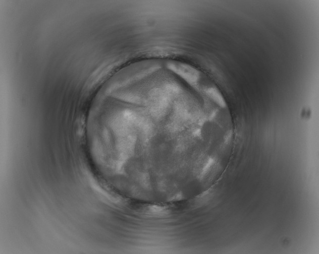 X0000112200166200909041325