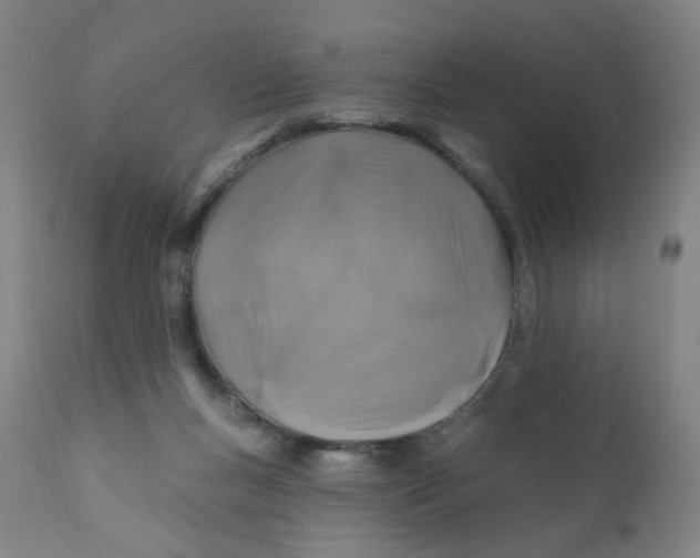 X0000112200167200909041325
