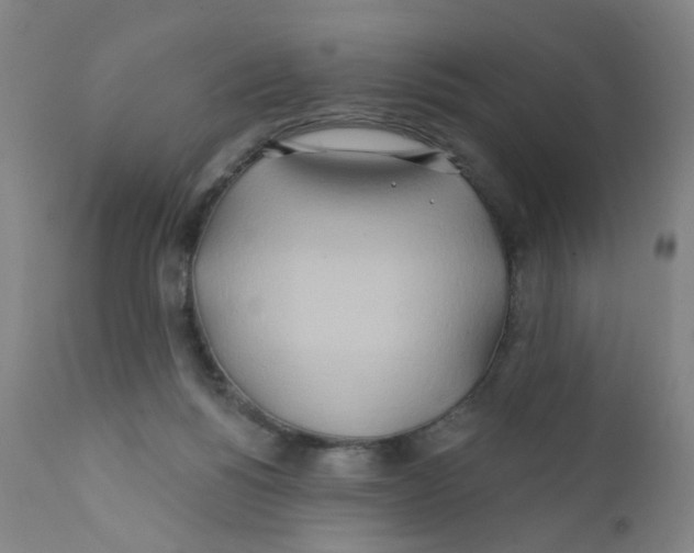 X0000112200168200909041325