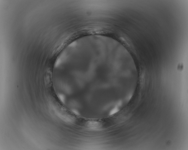 X0000112200169200909041325