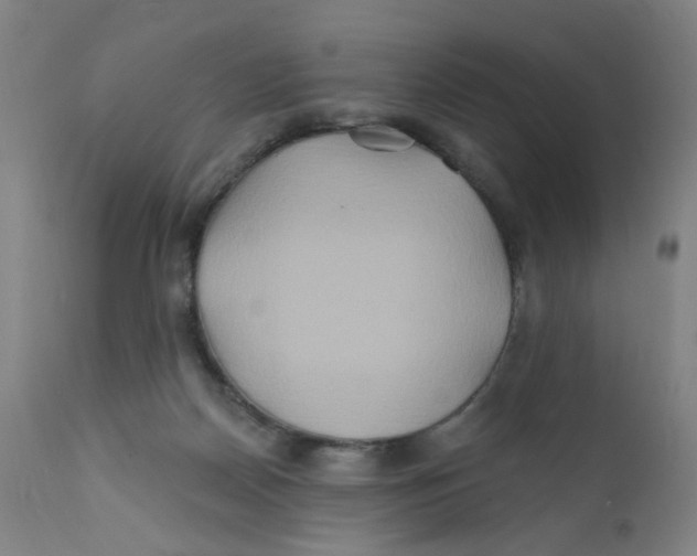 X0000112200170200909041325